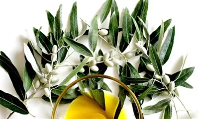 Hogyan kell bevenni az olívalevél kivonat port?