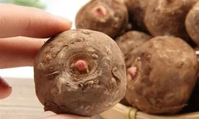 Mire jó a konjac gyökér kivonat?